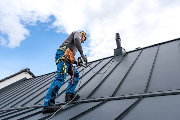Best Roof Moss and Algae Removal  in Flower Hill, MD